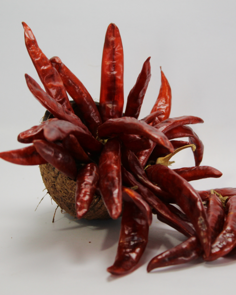 red dry chili Indian Exporter